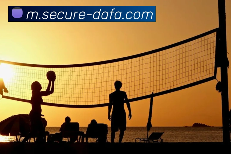 大发官网发展历程